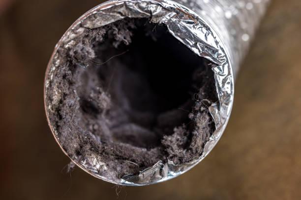 Best Affordable Duct Cleaning Services  in Bernardsville, NJ