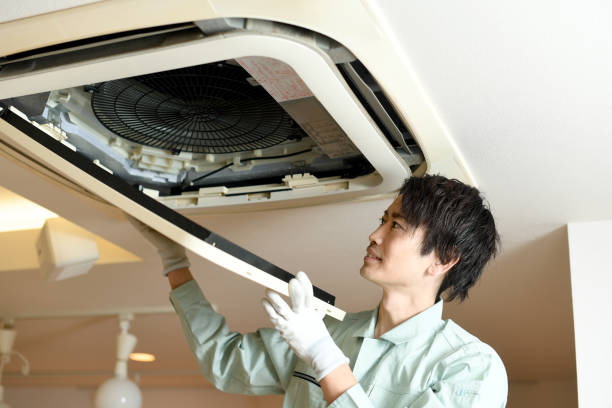 Best Air Duct Mold Removal  in Bernardsville, NJ